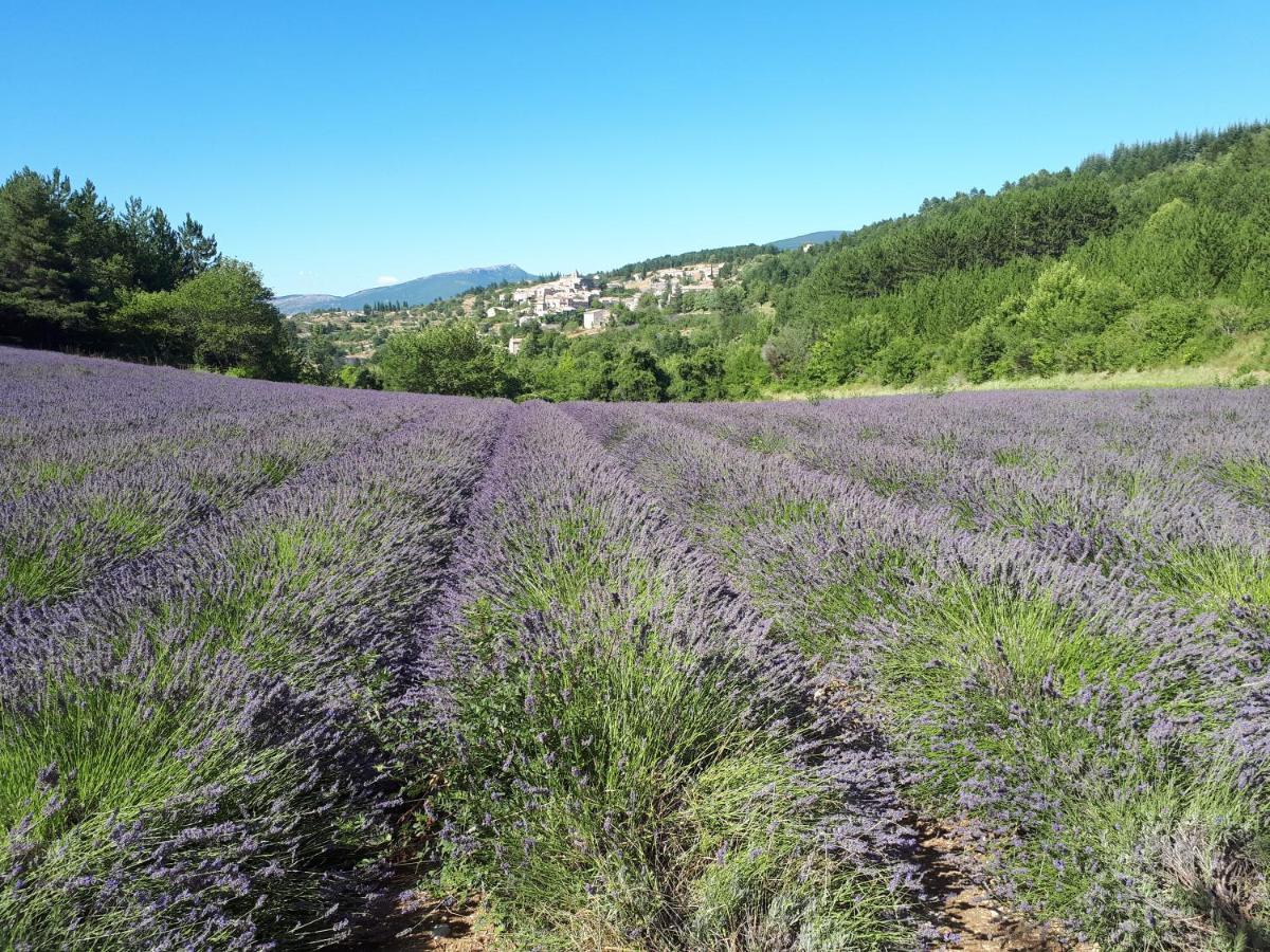Gite Dentelles Loriol-du-Comtat Eksteriør billede